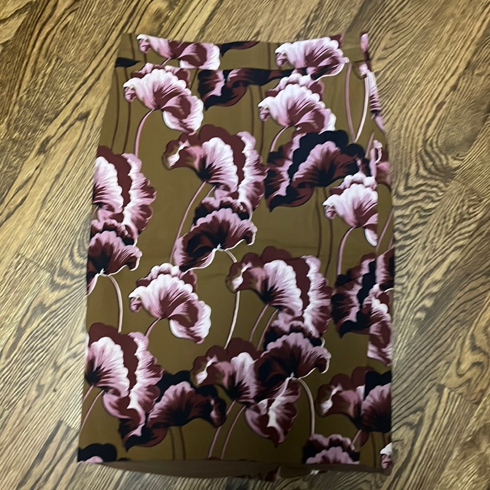 Ann Taylor Skirt